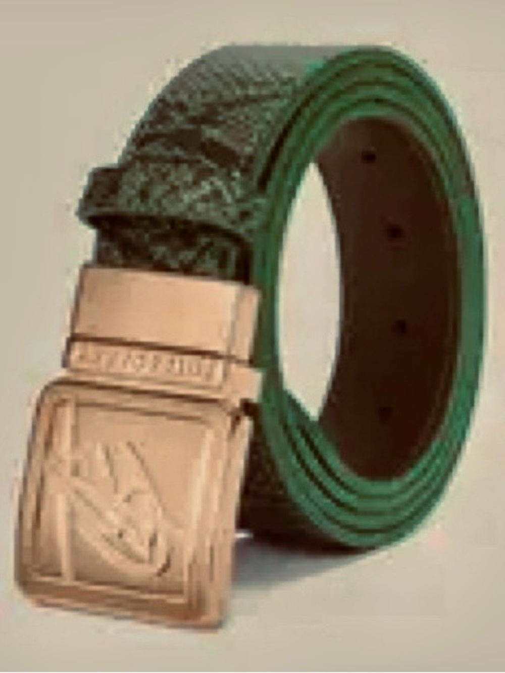 “Tote & Carry”
Unisex Green & Black Reptile Imbossed Belt w/Gold Buckle.
NWT